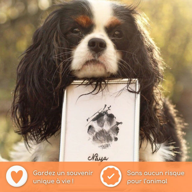 Pawprint'Dog - Kit d'empreinte pour Chiens et Chats