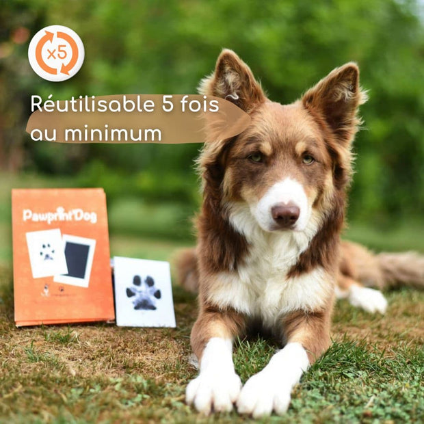 Pawprint'Dog - Kit d'empreinte pour Chiens et Chats