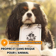Pawprint'Dog - Kit d'empreinte pour Chiens et Chats