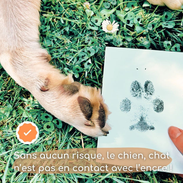 Pawprint'Dog - Kit d'empreinte pour Chiens et Chats