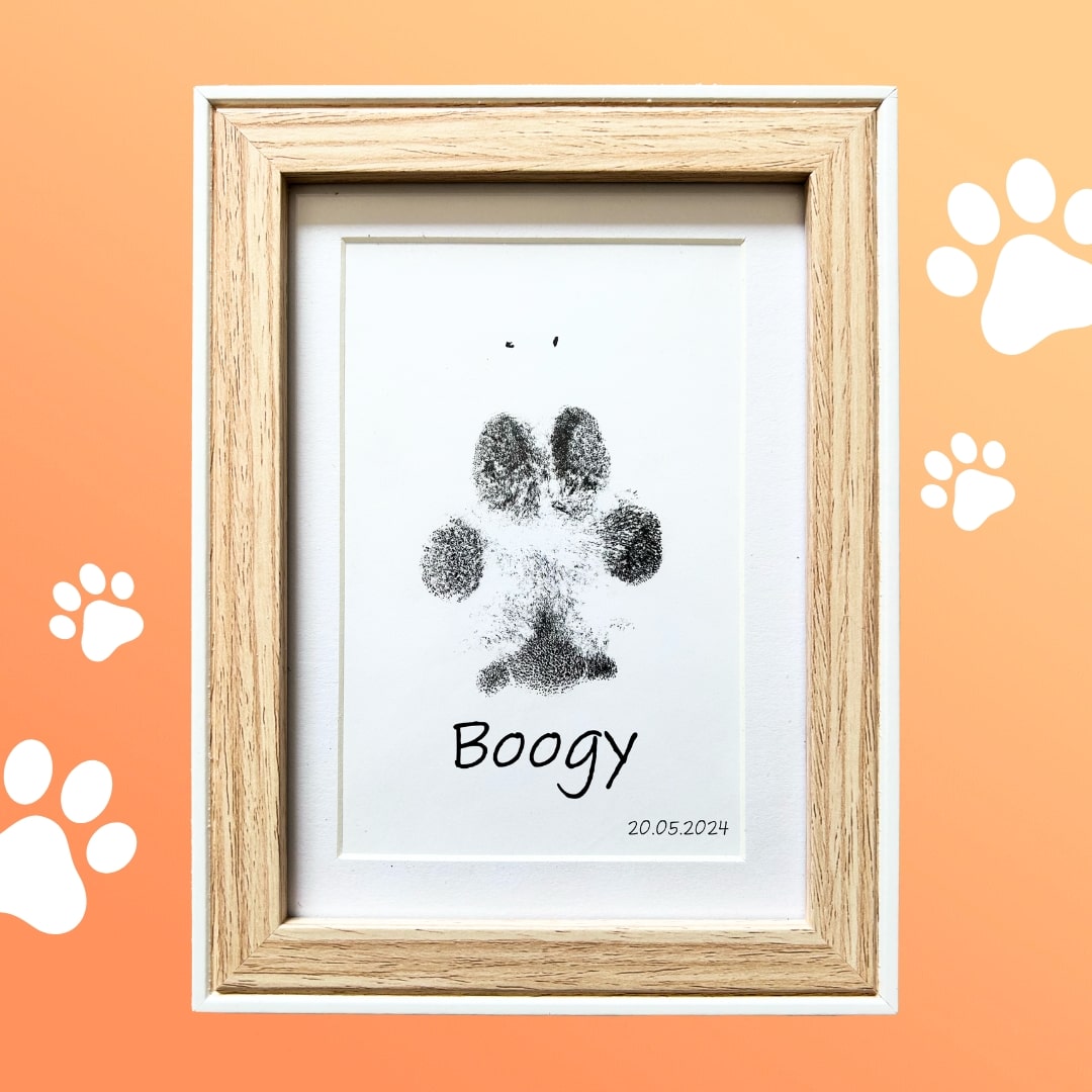 Pawprint'Dog - Kit d'empreinte pour chien – Badogshop