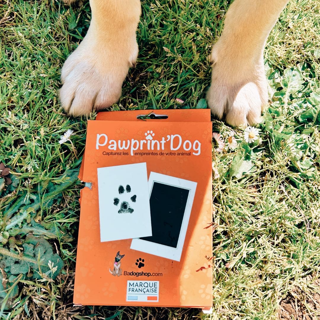YOYIAG Kit d'empreintes de pattes pour chien et chat, cadre photo