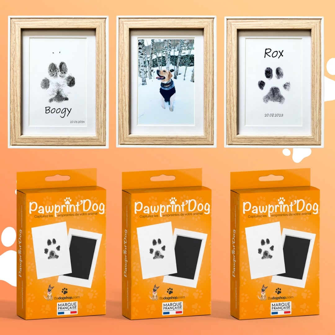 Badogshop  Kit d'empreintes pour chiens & chats